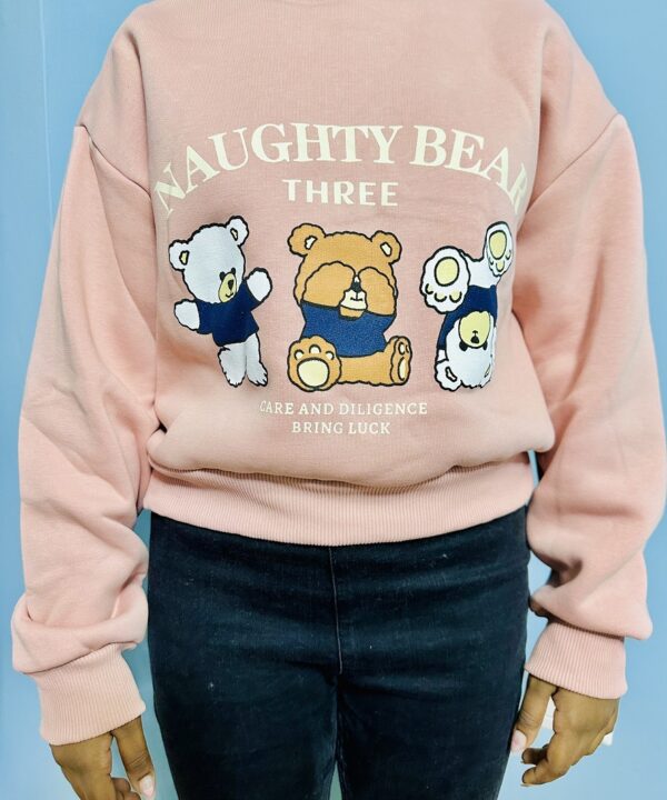 Naughty Bear Sweatshirt for Kids – Cute Three Bears Printed Fleece Pullover | Soft & Cozy Casual Winter Wear