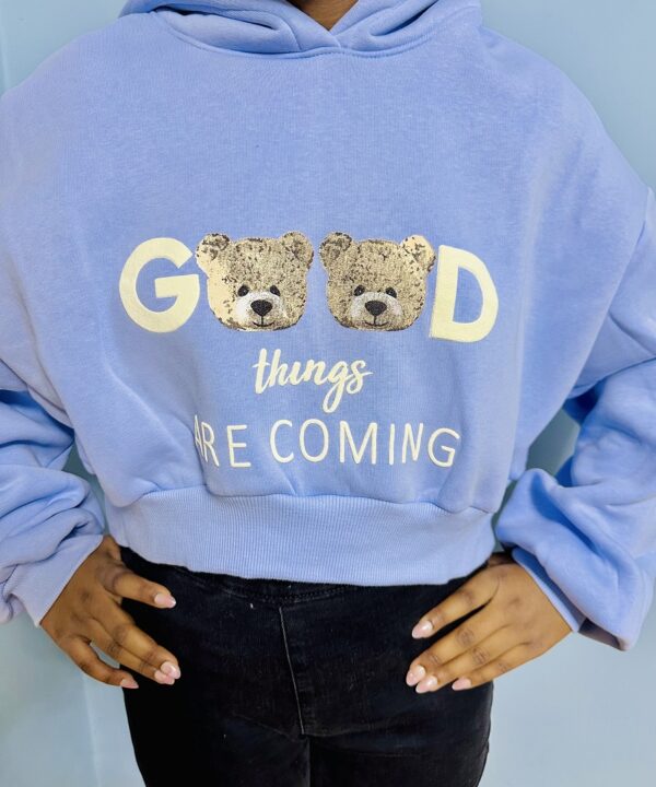 Blue “Good Things Are Coming” Teddy Bear Hoodie – Soft Cozy Pullover with Cute Design, Casual Positive Vibes Wear