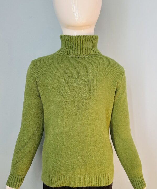 Kids Green Turtleneck Sweater – Soft Winter Knitwear for Boys & Girls | Warm Full Sleeves | Cozy Casual Cold-Weather Wear