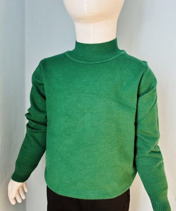 Kids Dark Green Winter Sweater | Soft Knit Turtle Neck Pullover | Warm & Comfortable Long Sleeve Winter Wear